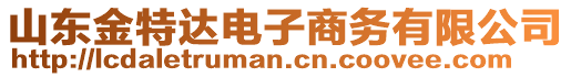 山東金特達(dá)電子商務(wù)有限公司