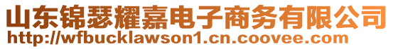 山東錦瑟耀嘉電子商務(wù)有限公司