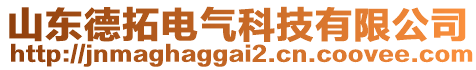 山東德拓電氣科技有限公司