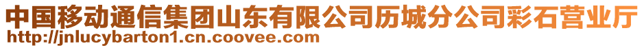 中國移動通信集團山東有限公司歷城分公司彩石營業(yè)廳