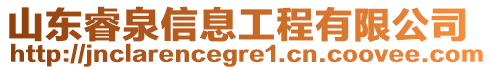 山东睿泉信息工程有限公司