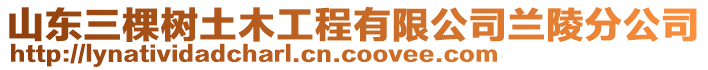 山東三棵樹土木工程有限公司蘭陵分公司