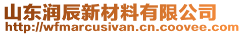 山東潤(rùn)辰新材料有限公司