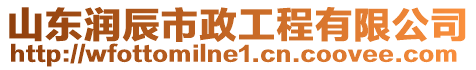 山東潤辰市政工程有限公司