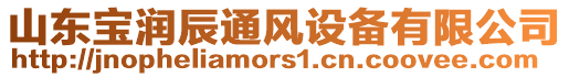 山東寶潤(rùn)辰通風(fēng)設(shè)備有限公司