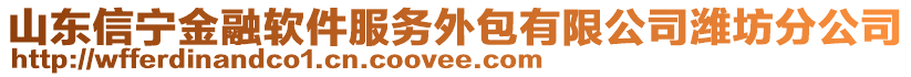 山東信寧金融軟件服務(wù)外包有限公司濰坊分公司