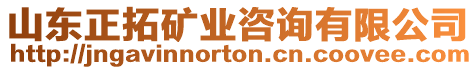 山東正拓礦業(yè)咨詢有限公司