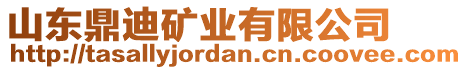 山東鼎迪礦業(yè)有限公司