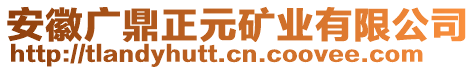 安徽廣鼎正元礦業(yè)有限公司