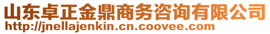 山東卓正金鼎商務(wù)咨詢有限公司