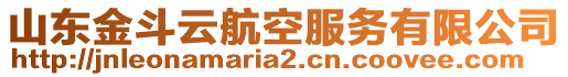 山東金斗云航空服務有限公司