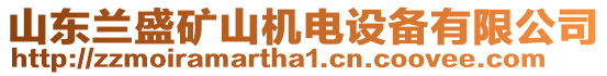 山東蘭盛礦山機(jī)電設(shè)備有限公司