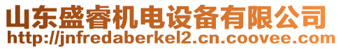 山東盛睿機(jī)電設(shè)備有限公司