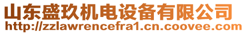 山東盛玖機(jī)電設(shè)備有限公司