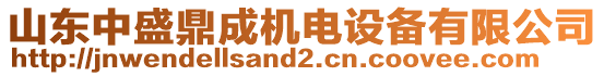 山東中盛鼎成機電設備有限公司