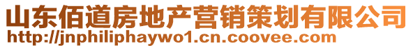 山東佰道房地產營銷策劃有限公司