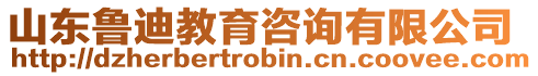 山東魯迪教育咨詢有限公司