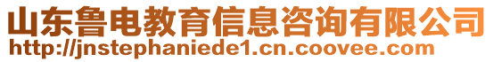 山東魯電教育信息咨詢有限公司