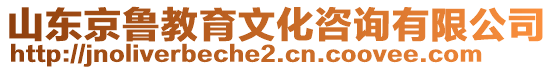 山東京魯教育文化咨詢有限公司