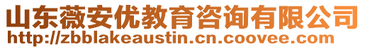 山東薇安優(yōu)教育咨詢有限公司