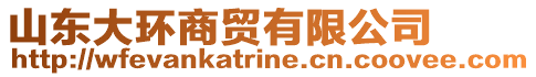 山東大環(huán)商貿(mào)有限公司