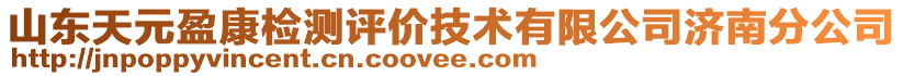 山東天元盈康檢測評價技術(shù)有限公司濟南分公司