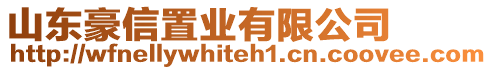 山東豪信置業(yè)有限公司