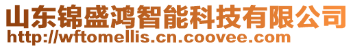 山東錦盛鴻智能科技有限公司