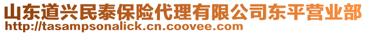 山东道兴民泰保险代理有限公司东平营业部