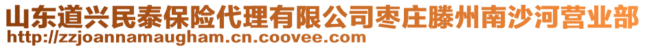 山东道兴民泰保险代理有限公司枣庄滕州南沙河营业部