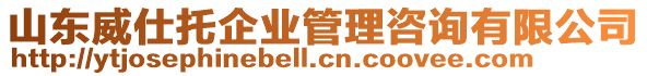 山东威仕托企业管理咨询有限公司