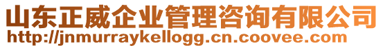 山東正威企業(yè)管理咨詢有限公司