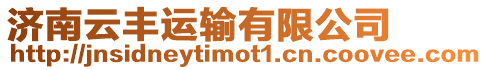 濟(jì)南云豐運輸有限公司