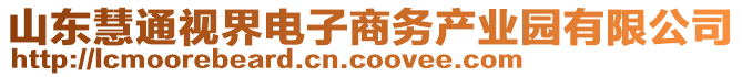 山東慧通視界電子商務(wù)產(chǎn)業(yè)園有限公司