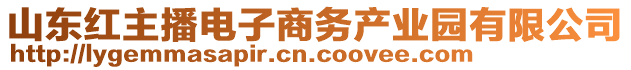 山东红主播电子商务产业园有限公司