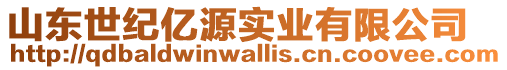 山東世紀億源實業(yè)有限公司