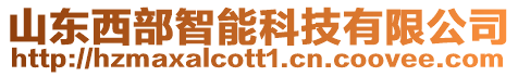 山東西部智能科技有限公司
