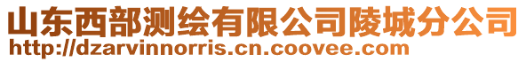 山東西部測繪有限公司陵城分公司