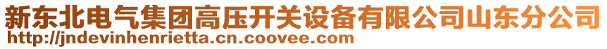 新東北電氣集團高壓開關(guān)設(shè)備有限公司山東分公司
