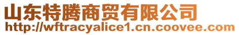 山東特騰商貿(mào)有限公司