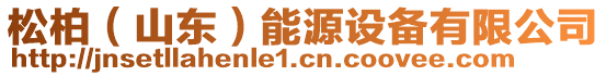 松柏（山東）能源設(shè)備有限公司