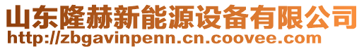 山東隆赫新能源設備有限公司