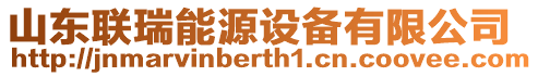 山東聯(lián)瑞能源設(shè)備有限公司