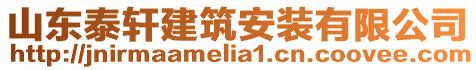 山東泰軒建筑安裝有限公司