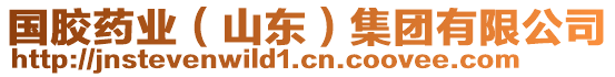 國膠藥業(yè)（山東）集團(tuán)有限公司