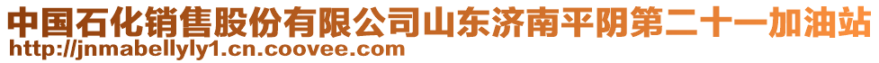 中國(guó)石化銷售股份有限公司山東濟(jì)南平陰第二十一加油站