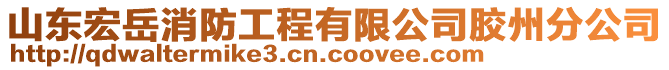 山東宏岳消防工程有限公司膠州分公司