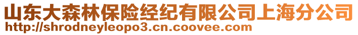 山東大森林保險經(jīng)紀(jì)有限公司上海分公司