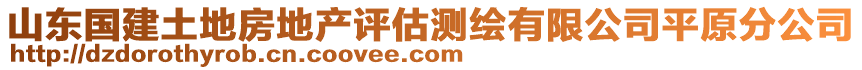 山東國建土地房地產(chǎn)評(píng)估測(cè)繪有限公司平原分公司