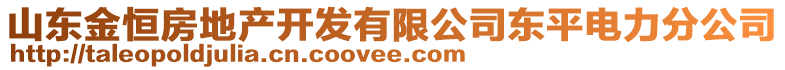 山東金恒房地產(chǎn)開發(fā)有限公司東平電力分公司